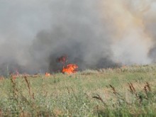 Заради човешка небрежност ежедневно избухват пожари