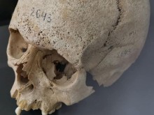 В България откриха човешки останки на 45000 години