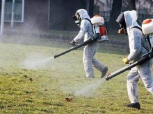Пръскат дворовете на детските градини и училищата в Пловдив срещу кърлежи и комари
