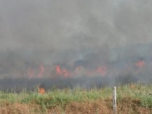 Загасен е пожарът над Кричим 