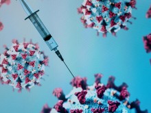 Изследване: Една трета от българите са се ваксинирали или са изкарали вируса