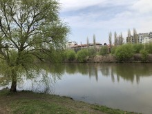 Общината търси спешно кой да почисти коритото на Марица