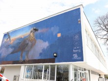 Брадат лешояд кацна в Пловдив на една от сградите