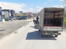 Кон тегли камион по "Рогошко шосе" в Пловдив