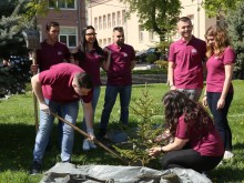 Бъдещи медици засадиха десетки борови дръвчета в Пловдив