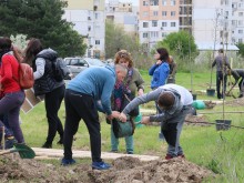 Прекрасна инициатива в най-младия пловдивски район
