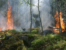 Обявен е пожароопасен сезон за всички области в страната
