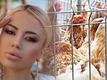 Известни бръмчалки не искат яйца от кокошки в клетки: Това е средновековно мъчение за животните!