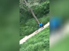 Видео с дете, което се гаври с куче, предизвика вълна от възмущение