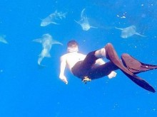 Павел и Венци плуват с акули в новия си клип, но по-изненадващото е друго