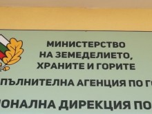 Агенцията по горите е с нов изпълнителен директор