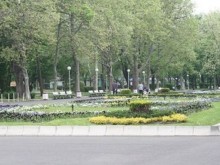 Влакче блъсна дядо и внуче в Морската градина в Бургас