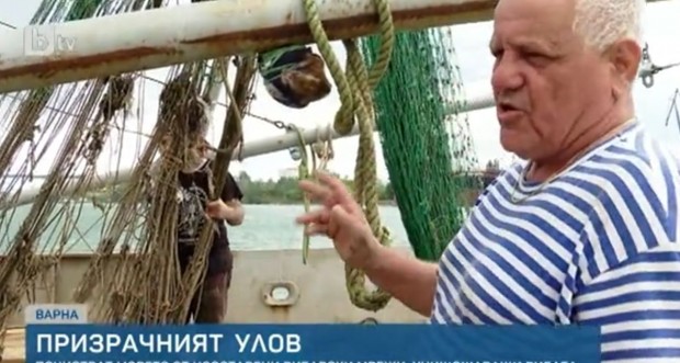 Истински санитарен улов се осъществява в морето край Варна В