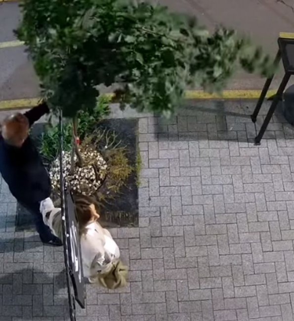Фейсбук
Видеокамери запечатаха странна постъпка на двойка която се разхожда по