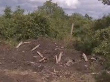 Десетки загробени животни са открити край ферма в землището на Марково