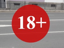 Гларус – канибал едва не предизвика катастрофа на натоварена бургаска улица! (18+)