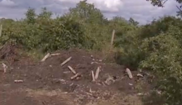 Глоби до 4000 лв. за фермера и ветеринаря заради загробените животни край Марково