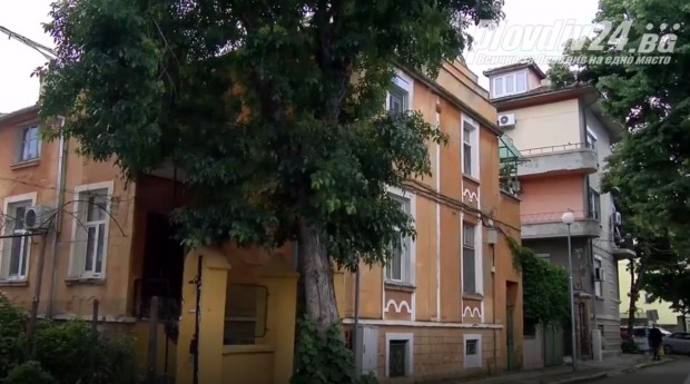 Отговор на Георги Стаменов за дървото на ул. "Петър Делян" 9