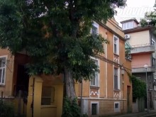 Отговор на Георги Стаменов за дървото на ул. "Петър Делян" 9