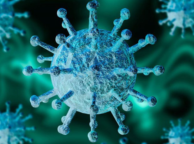 Теорията че глобалната коронавирусна пандемия е предизвикана от патоген изплъзнал