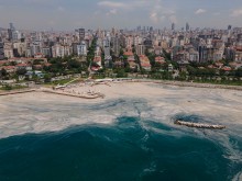 "Морски сополи" убиват Мраморно море