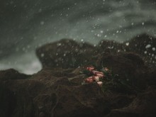 Раздяла очаква една зодия