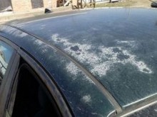 Ето какво се случва с автомобилите по време на жегите