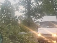 Проблеми по Пловдив - Пазарджик