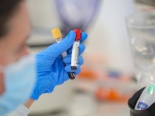 Седем области у нас са без нито един случай на COVID-19