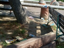 Пловдивчанка: Беше ме гнус
