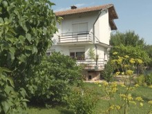 Кървав ужас - питбул уби възрастната си стопанка