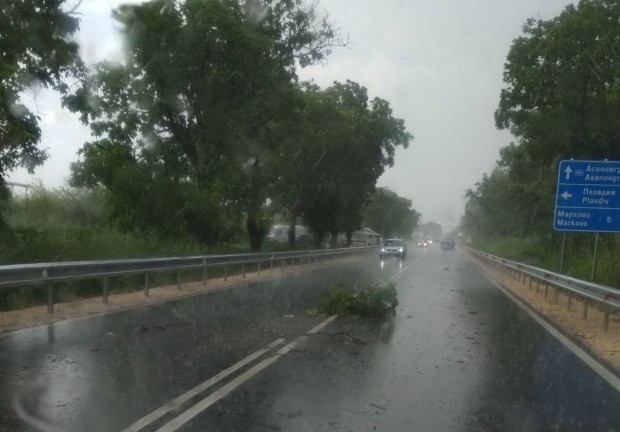 A strong storm breaks branches and throws them at the cars of the Plovdiv Ring Road