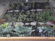 Билкова и зеленчукова градина замени пясъчник в пловдивска детска градина