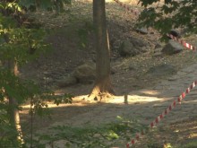 Повдигнато е обвинение за убийството на жена в столичния квартал "Бояна"