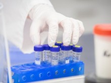 В 6 области няма нито един регистриран случай на COVID-19 за денонощието