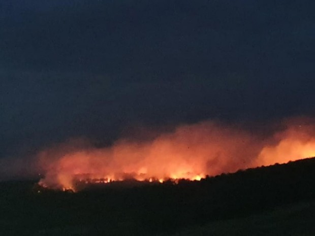 БТВ
Голям горски пожар в Свиленградско близо до границата с Турция