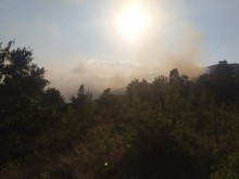 Голям горски пожар бушува край Пловдив