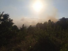 Потушиха горския пожар край Хисаря след близо 24 часа