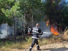 Овладяха пожара край Свиленград