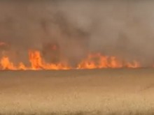 Пловдивски пожарникари се включиха в гасенето на горски пожар в Хасковско