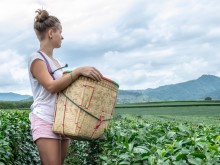 Подпомагането на доходите в планинските райони ще е за до 15 дка