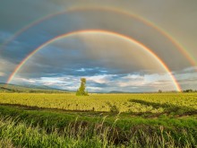 Биоплощи ще се подпомагат и по Първи стълб