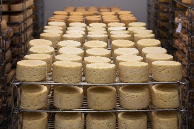С хиляди евро: Помагат за продукти със специфичен характер