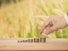Отговор от бранша: Настояваме за 75% грант за приоритетните сектори