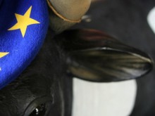 ЕП отхвърли опростения контрол спрямо малките фермери