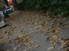 Настъпи астрономическата есен