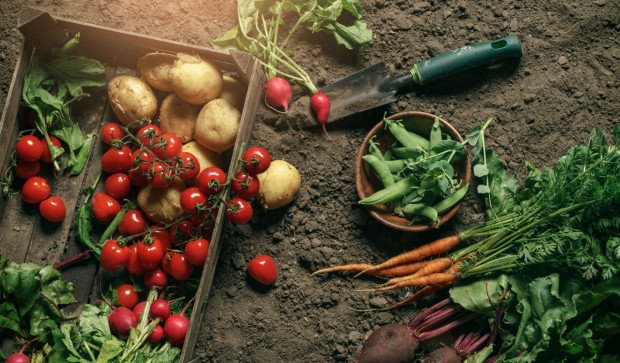 Агроиновации: Потребители измислят продукт, а производителят го реализира