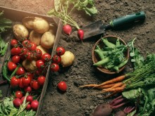 Агроиновации: Потребители измислят продукт, а производителят го реализира