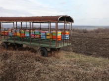 Овощари: Готови сме да плащаме за опрашване!