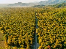Технологии: Проблеми при работата с аграрен дрон